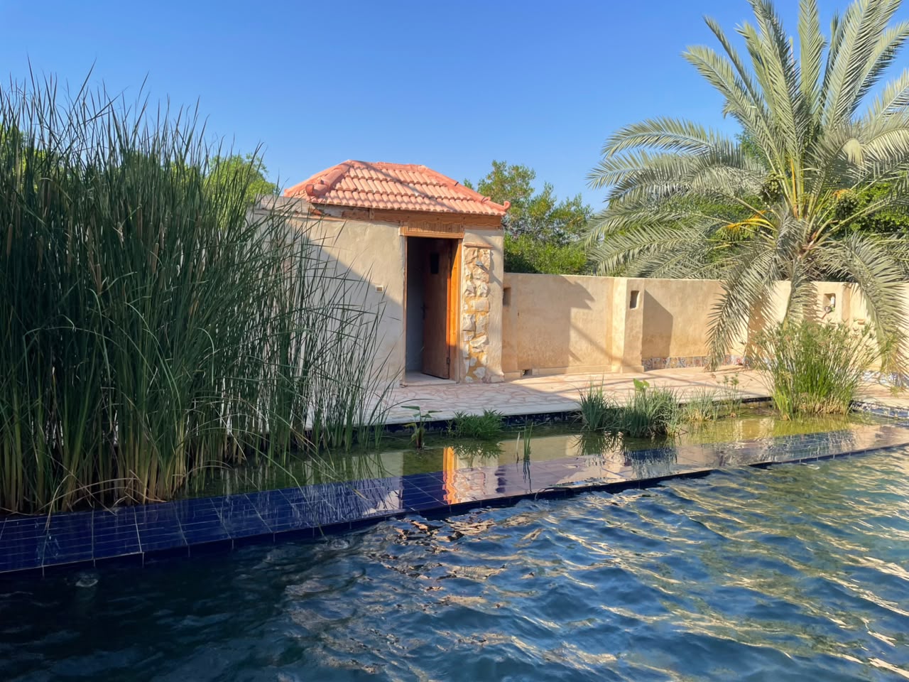 بركة مياه