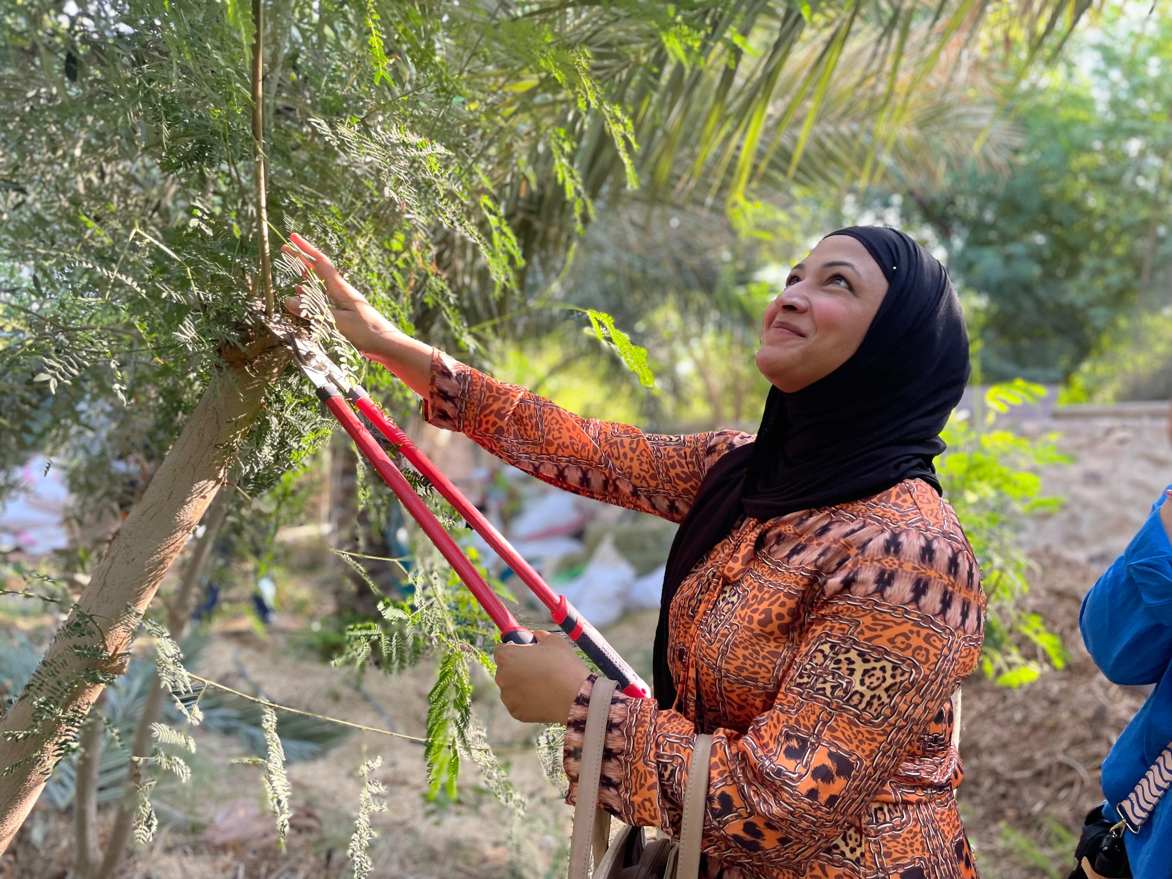 امرأة تعتني بشجرة