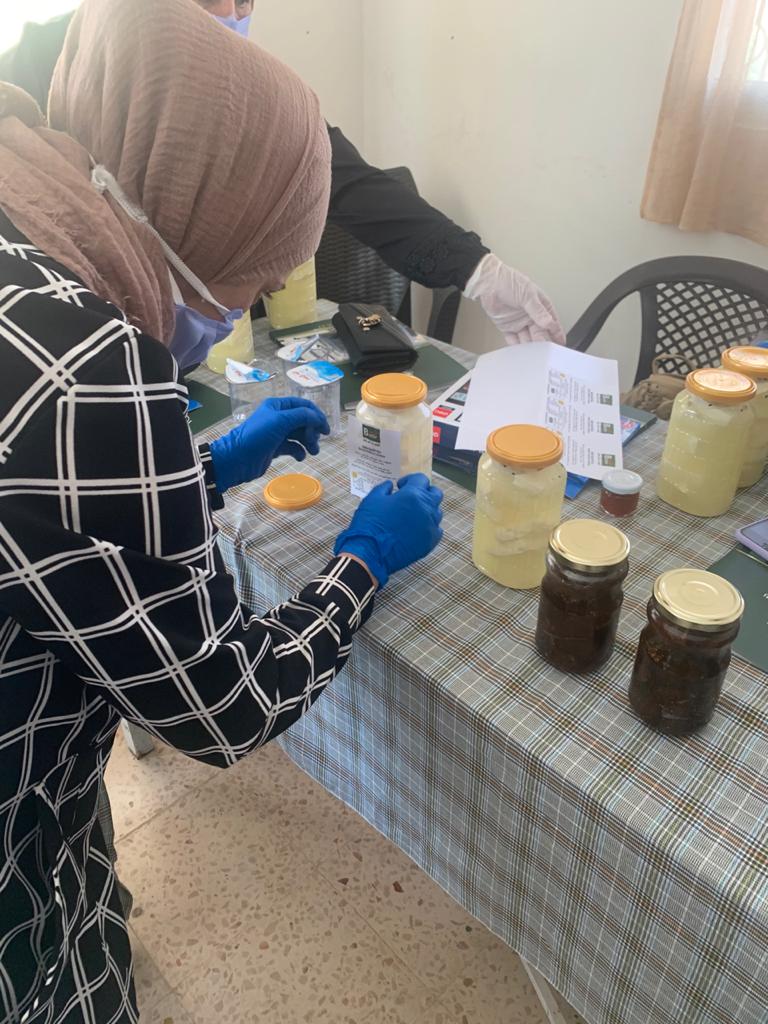 صورة من الورشة التدريبية