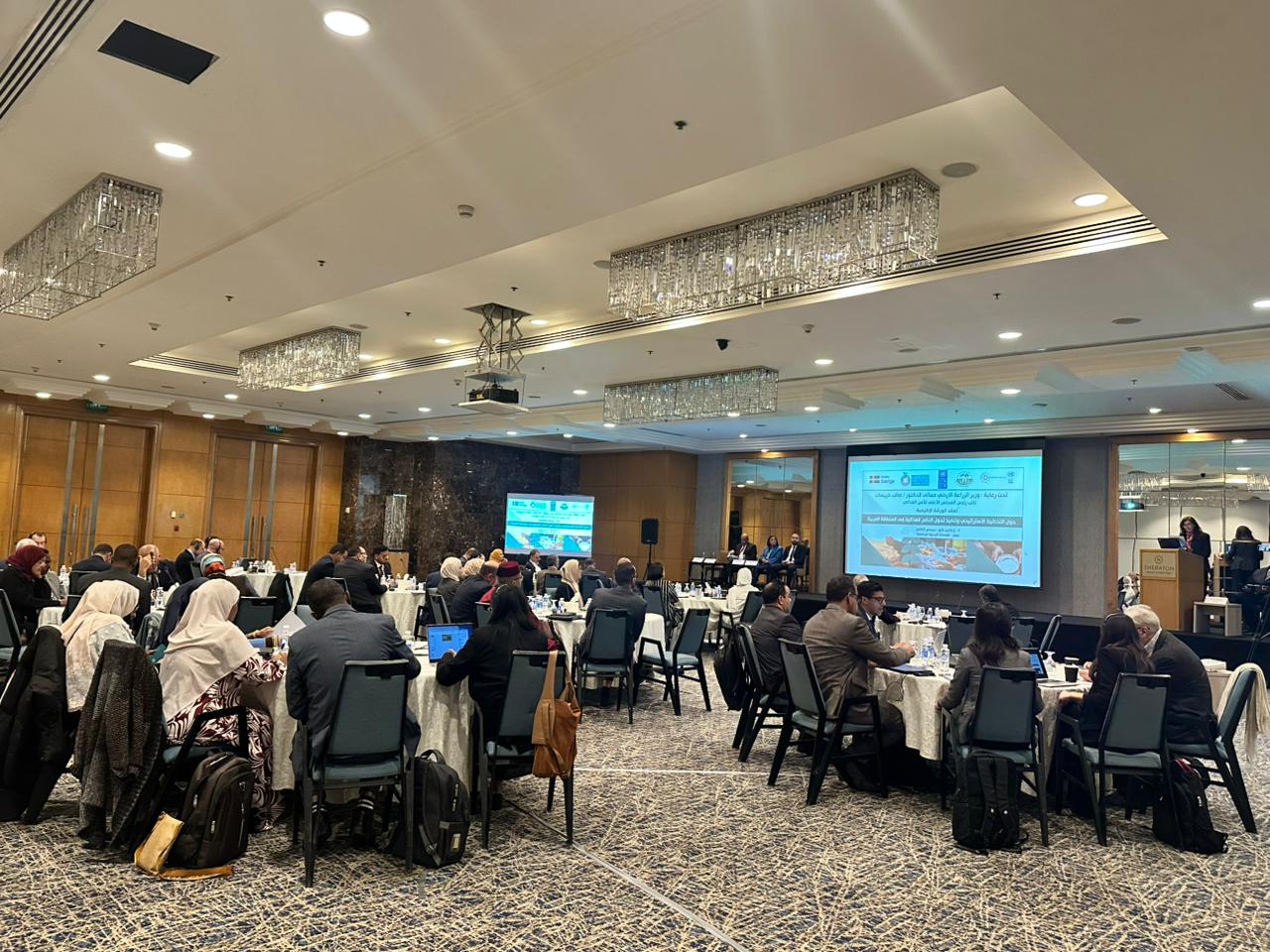 Advancing Resilient and Sustainable Food Systems in the Arab Region