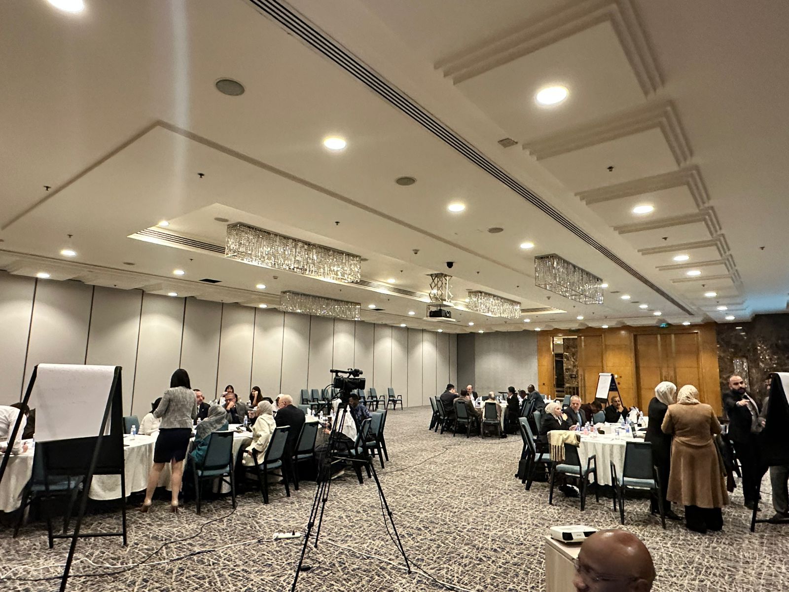 Advancing Resilient and Sustainable Food Systems in the Arab Region
