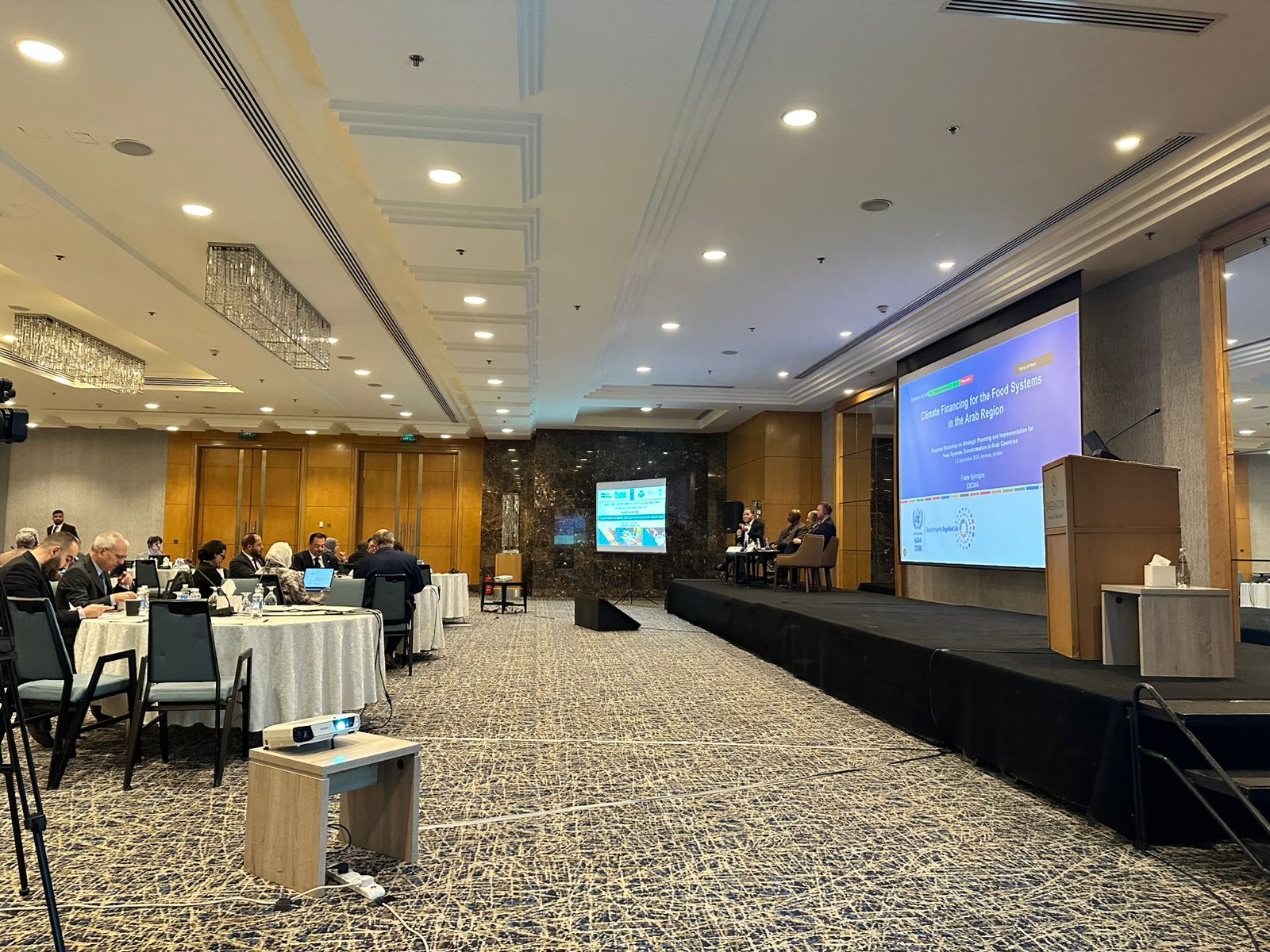 Advancing Resilient and Sustainable Food Systems in the Arab Region