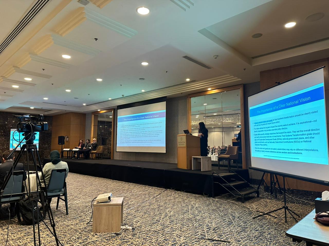 Advancing Resilient and Sustainable Food Systems in the Arab Region