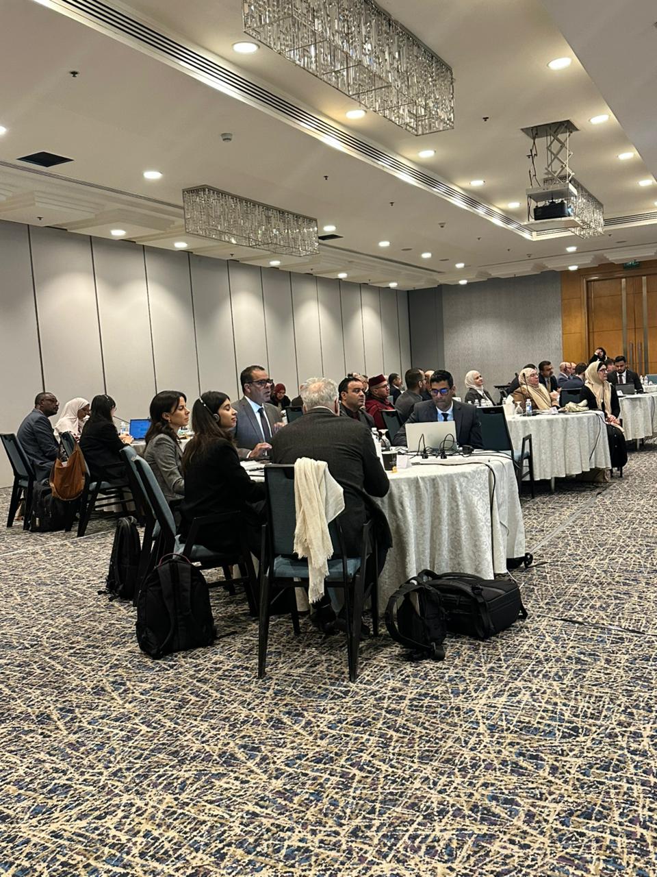 Advancing Resilient and Sustainable Food Systems in the Arab Region