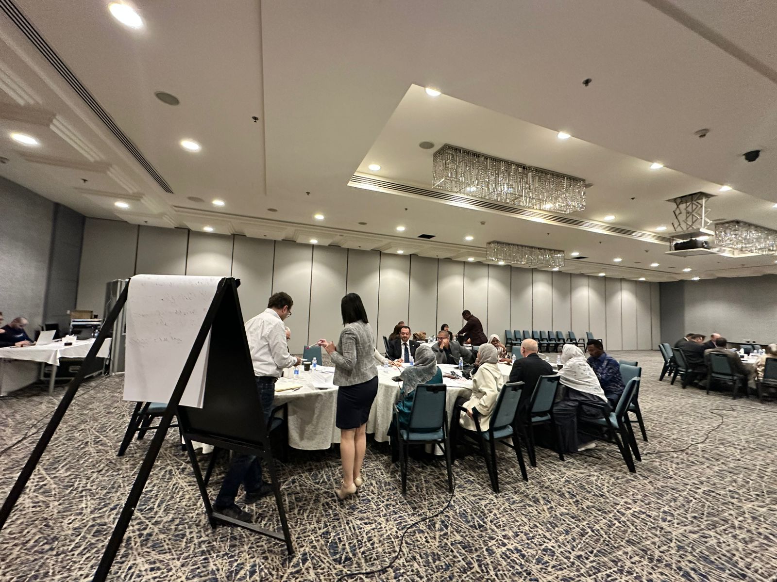Advancing Resilient and Sustainable Food Systems in the Arab Region