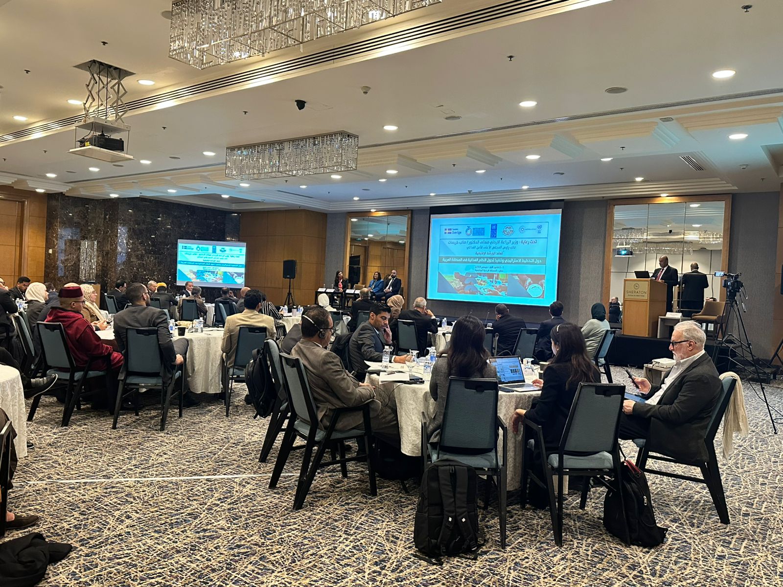 Advancing Resilient and Sustainable Food Systems in the Arab Region