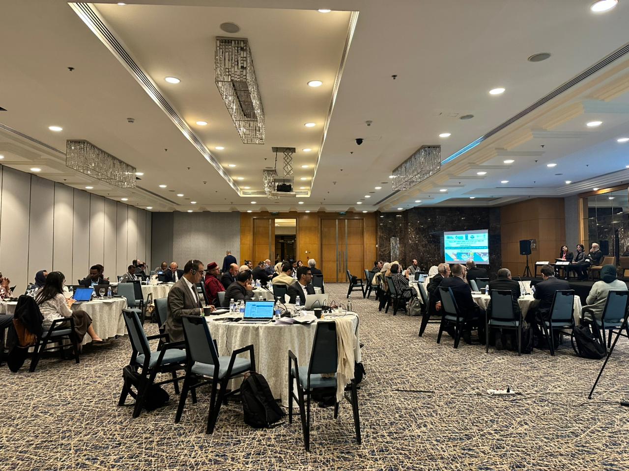 Advancing Resilient and Sustainable Food Systems in the Arab Region