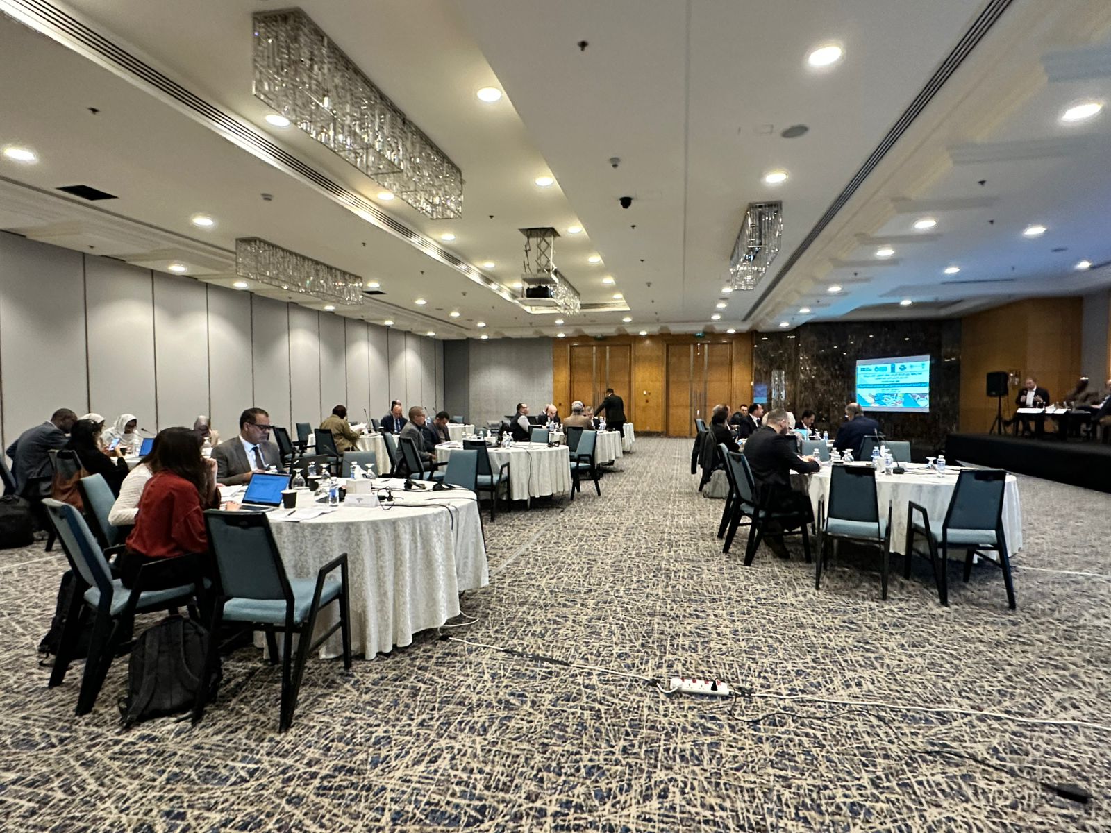 Advancing Resilient and Sustainable Food Systems in the Arab Region