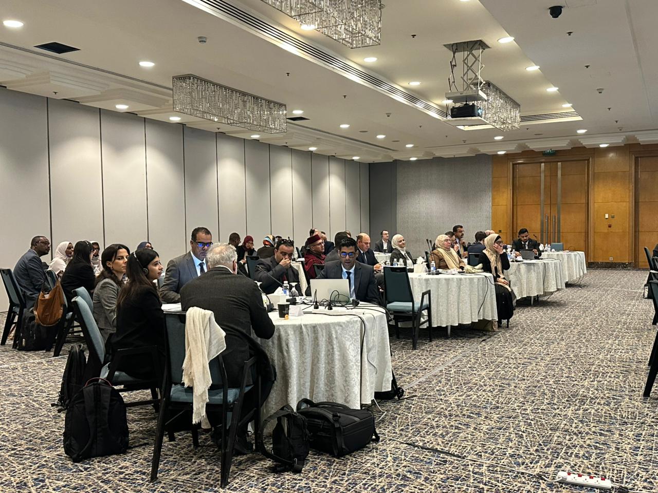 Advancing Resilient and Sustainable Food Systems in the Arab Region