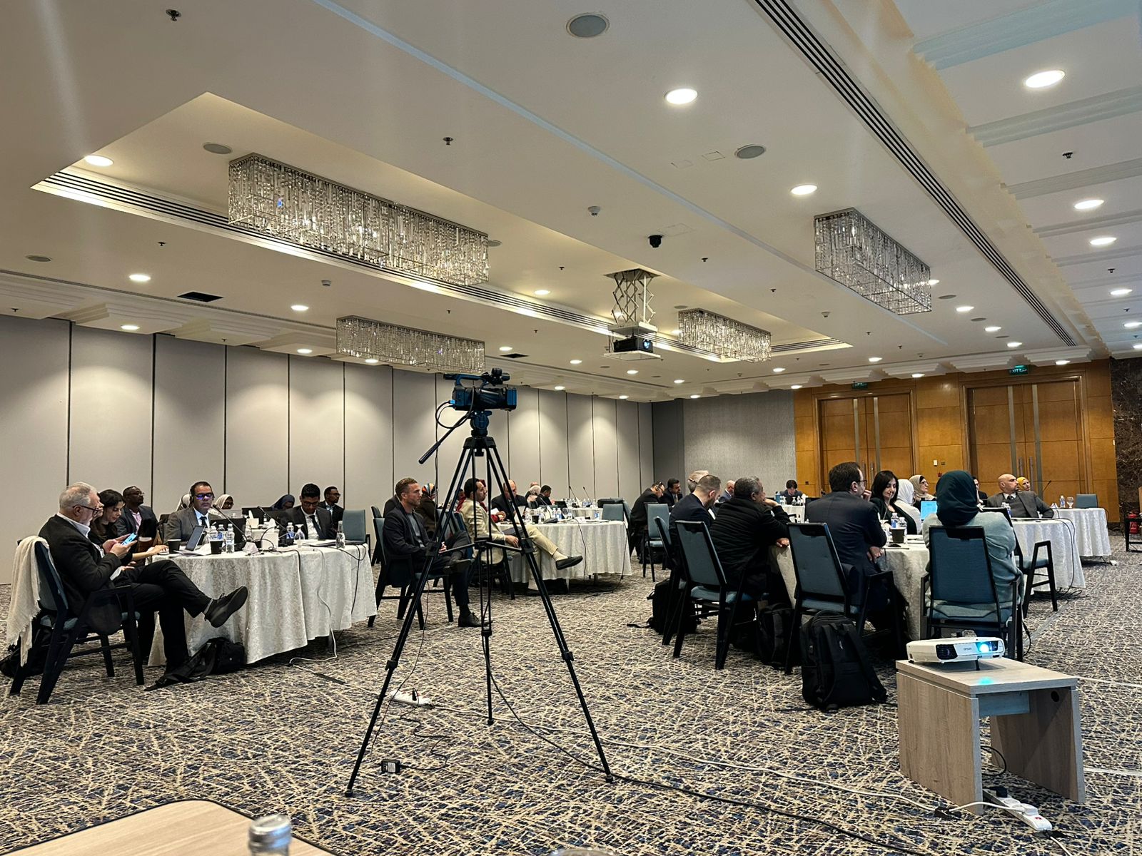 Advancing Resilient and Sustainable Food Systems in the Arab Region