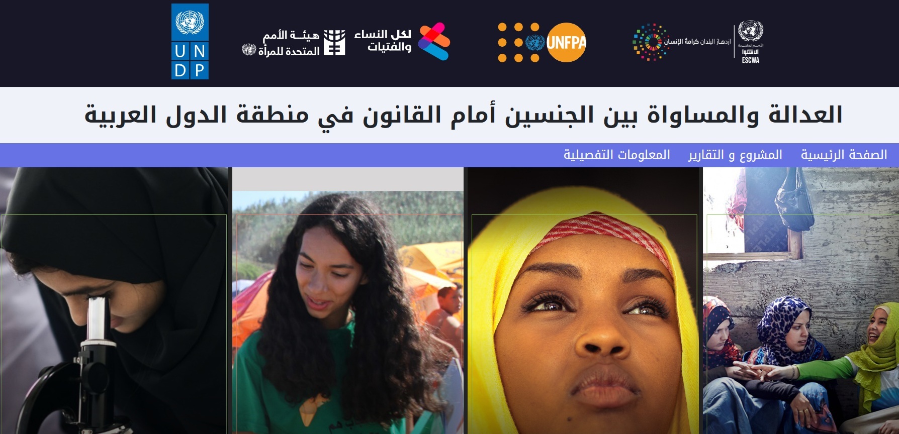 Snapshot of the gender justic portal homepage