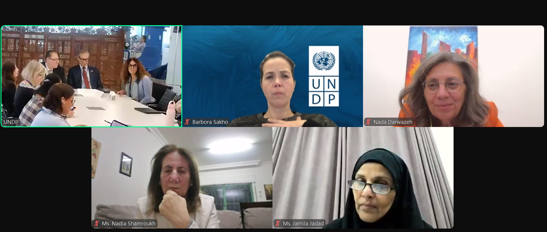 Screenshot of the webinar showing 5 different screens
