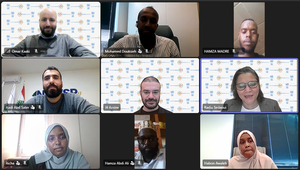 screenshot of the dijibouti webinar showing participants in nine windows