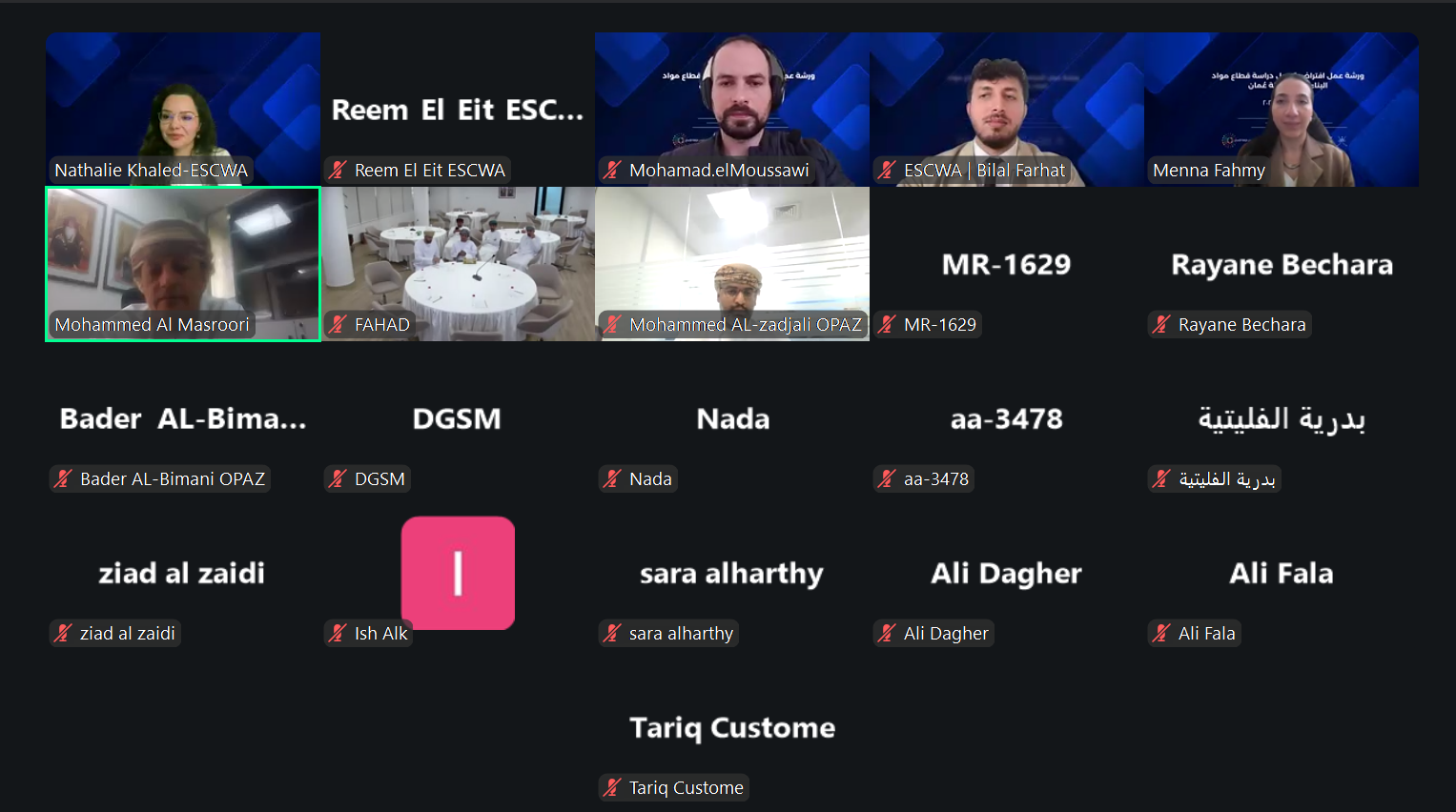 Screenshot of the webinar