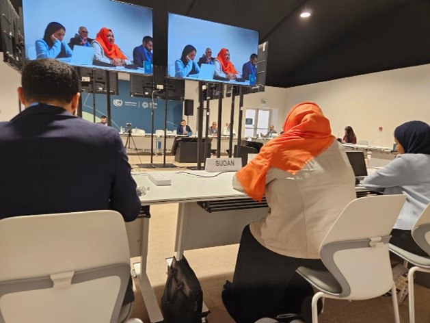 ESCWA at the UN Climate Change Conference