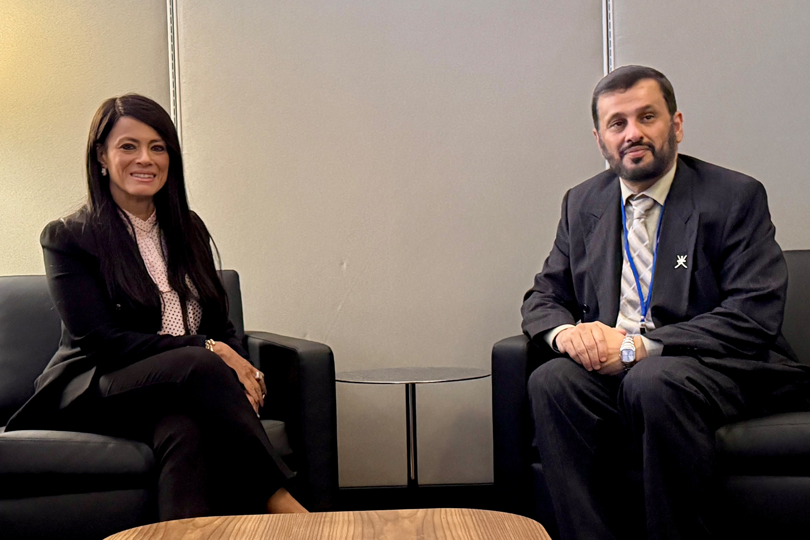 Two officials in bilateral meeting