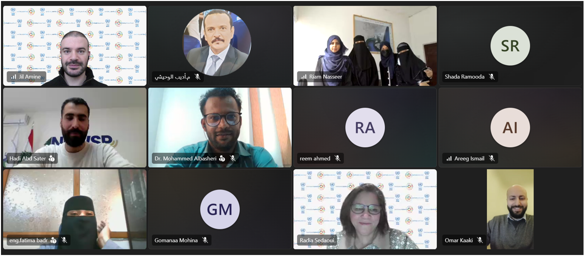 screenshot of the yemen webinar showing participants in twelve windows