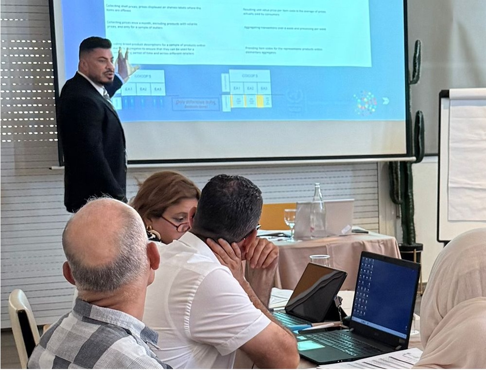 Innovation in price statistics collection tools in Tunisia