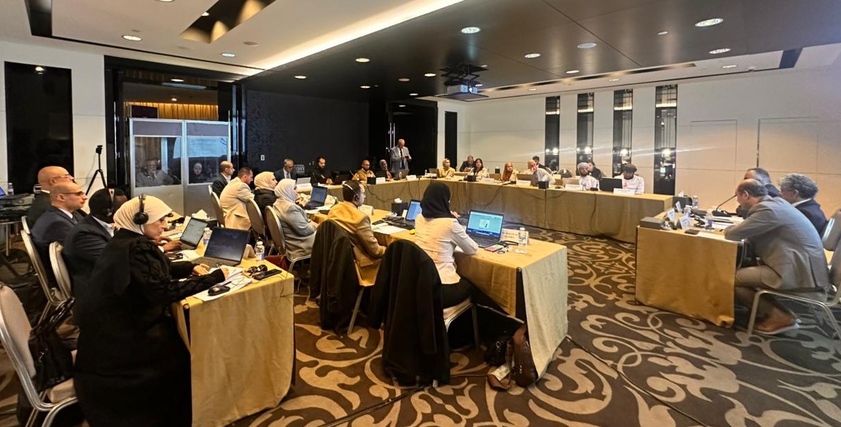 Eighth training on using SDMX for SDG data reporting