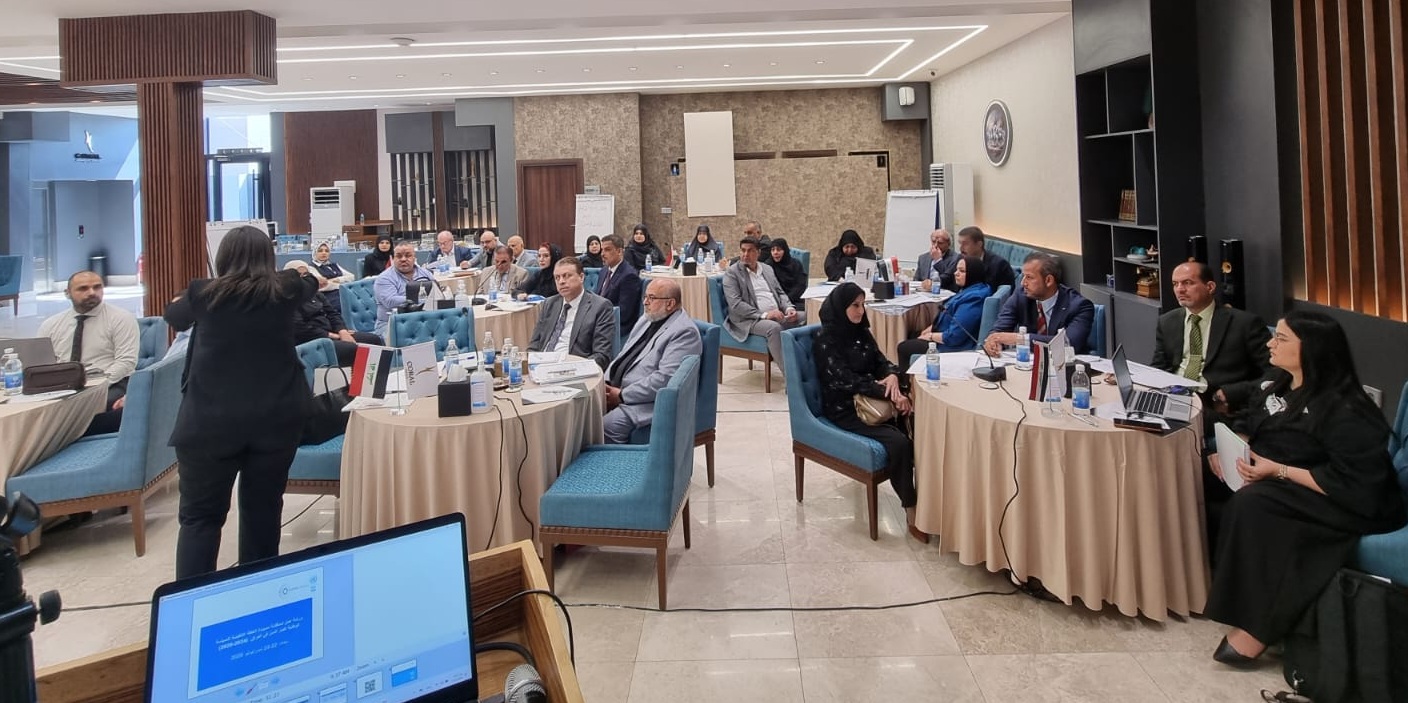 Draft action plan of the national policy on older persons in Iraq