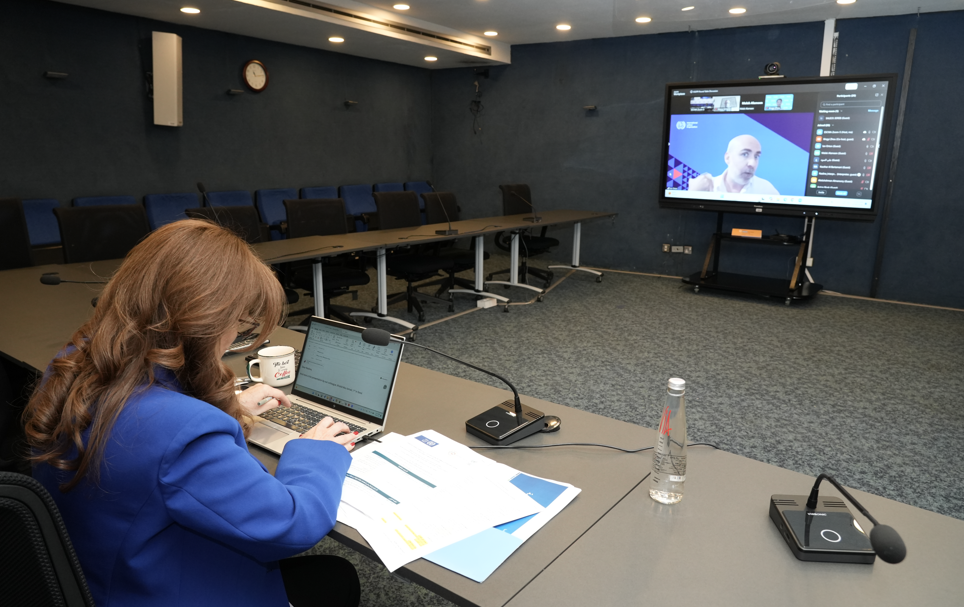 Experts discuss social protection reforms in the Arab region