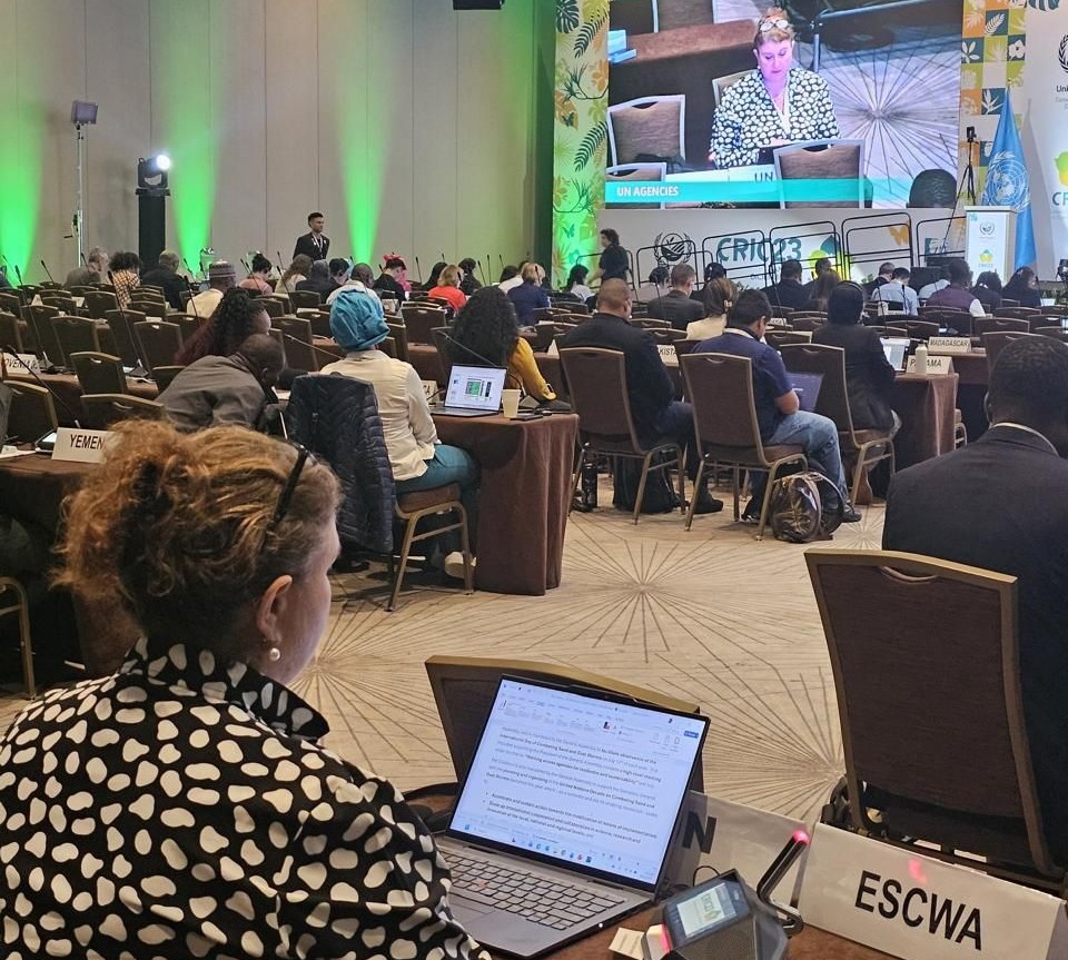 ESCWA calls for stronger coordination to combat sand and dust storms