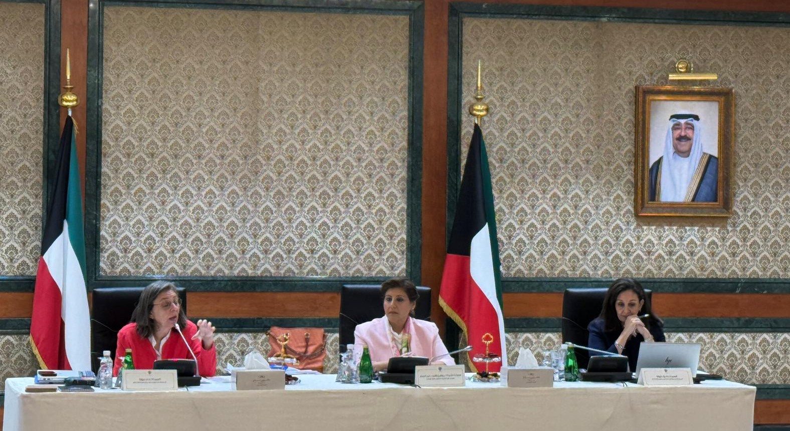 Advancing women’s roles in peacebuilding and decision-making in Kuwait