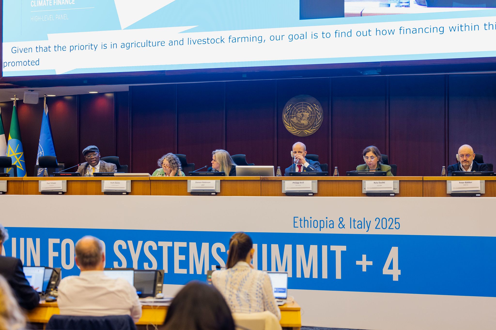 ESCWA advances regional food security at UNFSS+4