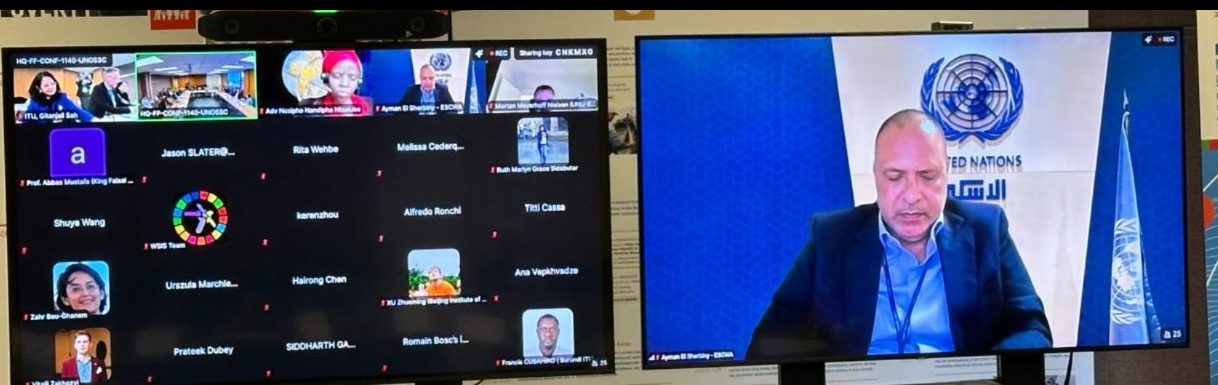 Screenshots from a webinar