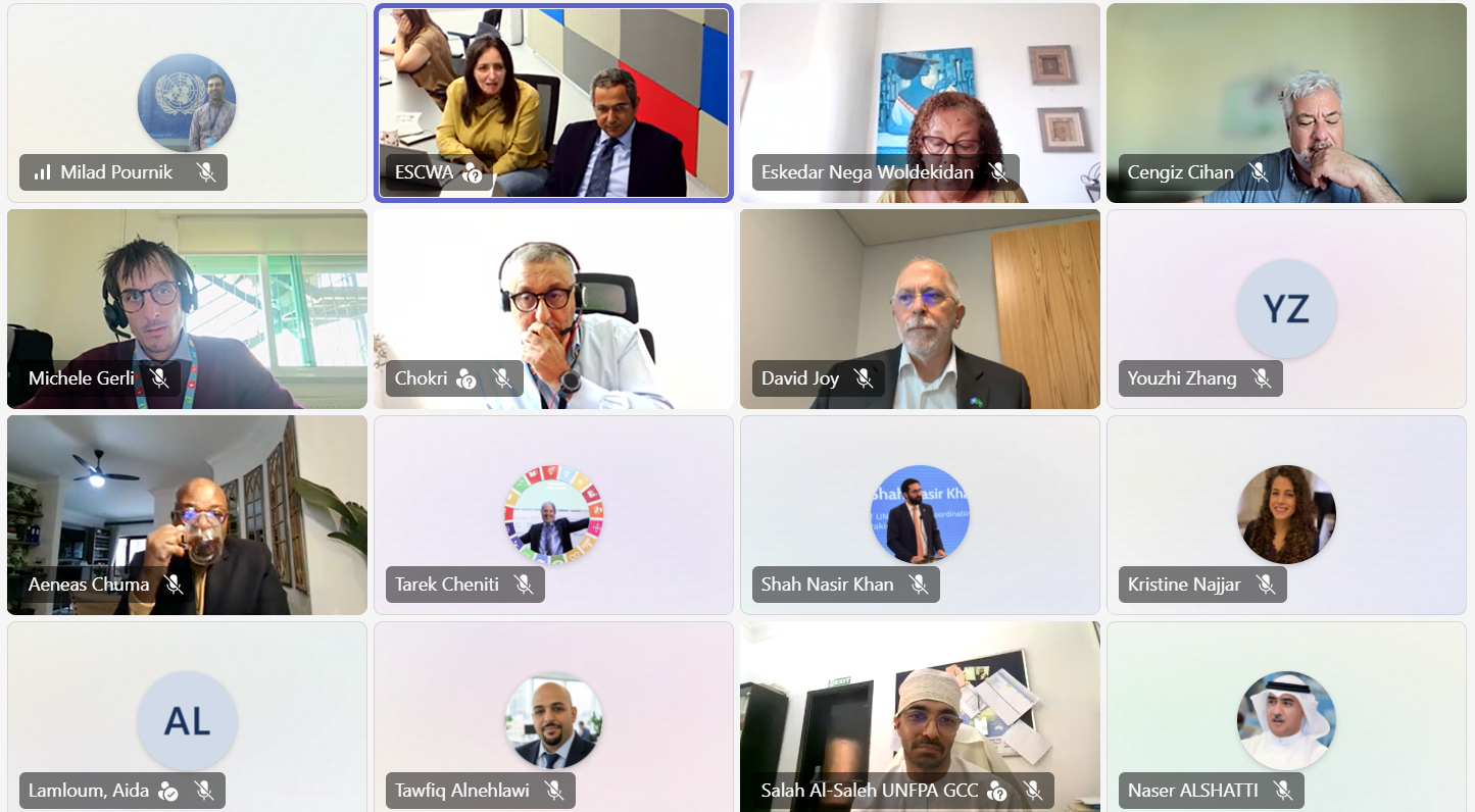 Screenshot of the meeting