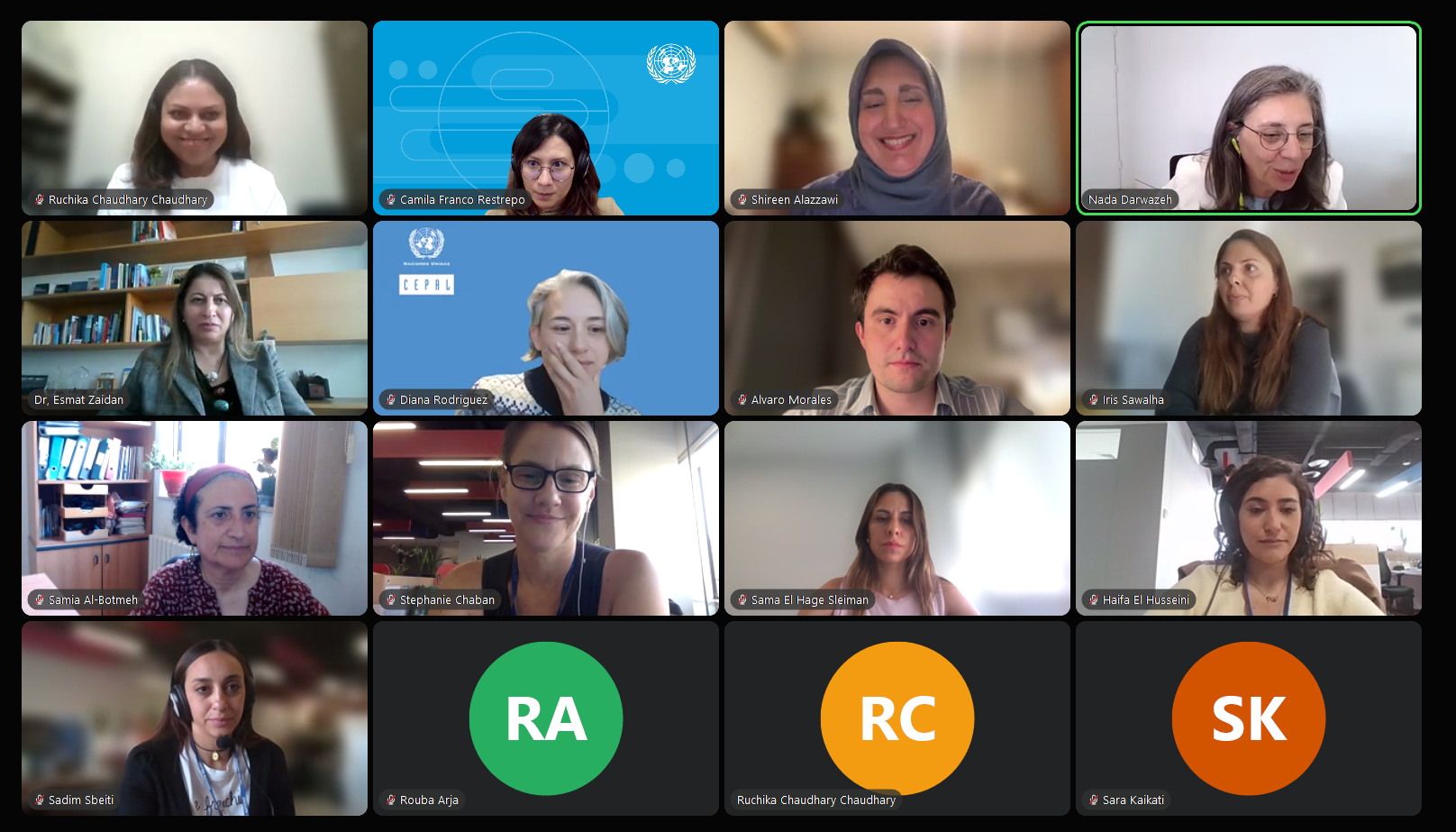 Screenshot showing all participants