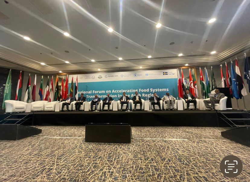 Accelerating food transformation in the Arab region