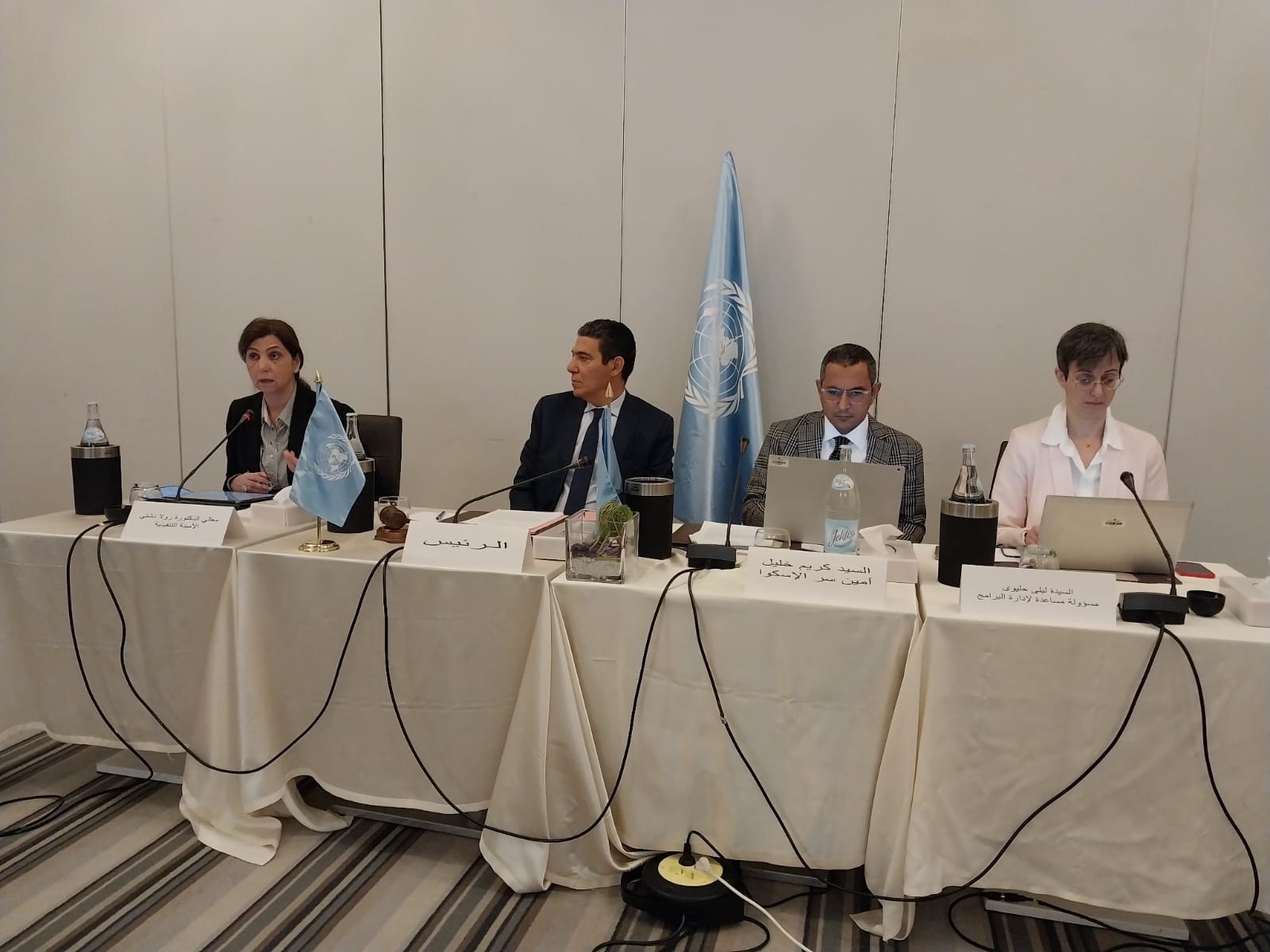ESCWA holds its 9th Executive Committee meeting and 12th Technical Cooperation Network meeting