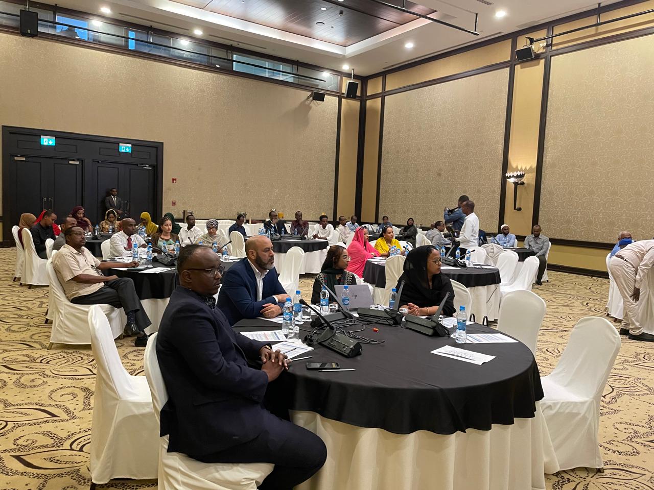 Policies of digital government and emerging technologies in Djibouti