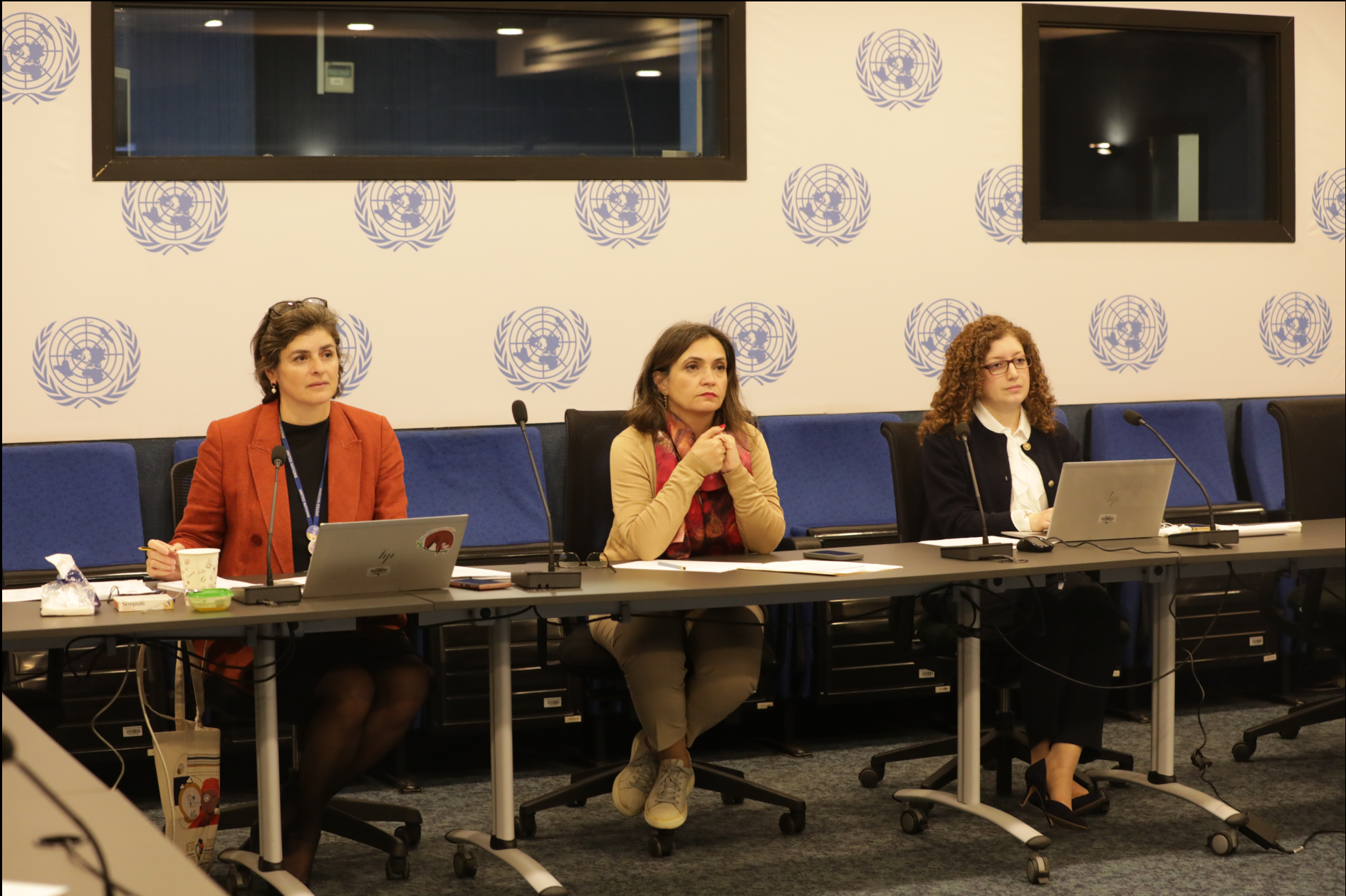 12th Workshop on Voluntary National Reviews