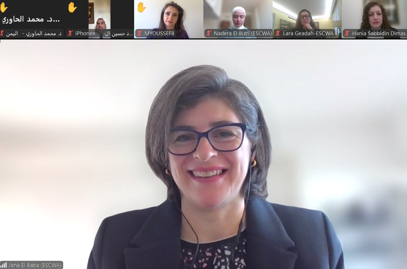 Screenshot from the webinar