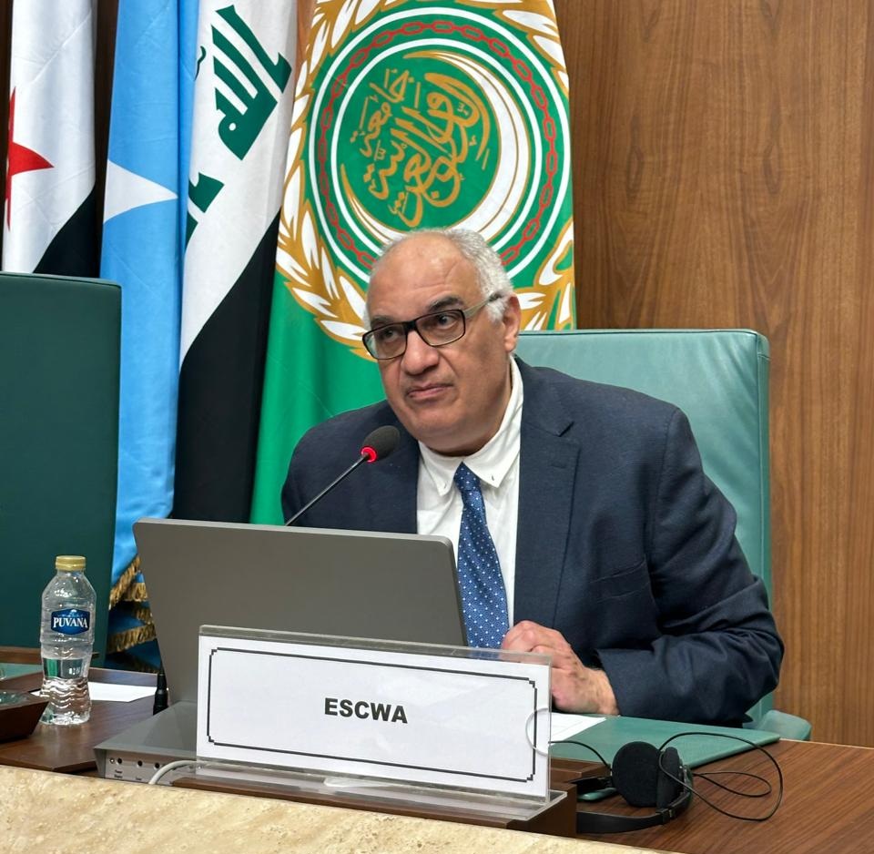 ESCWA official addressing his audience