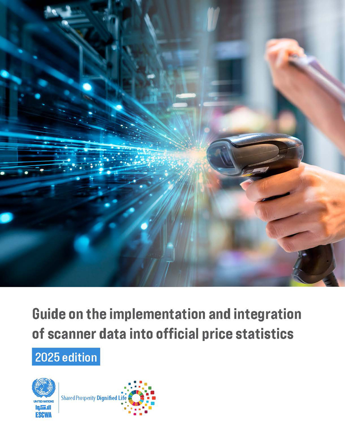 Guide on the implementation and integration of scanner data into official price statistics 2025