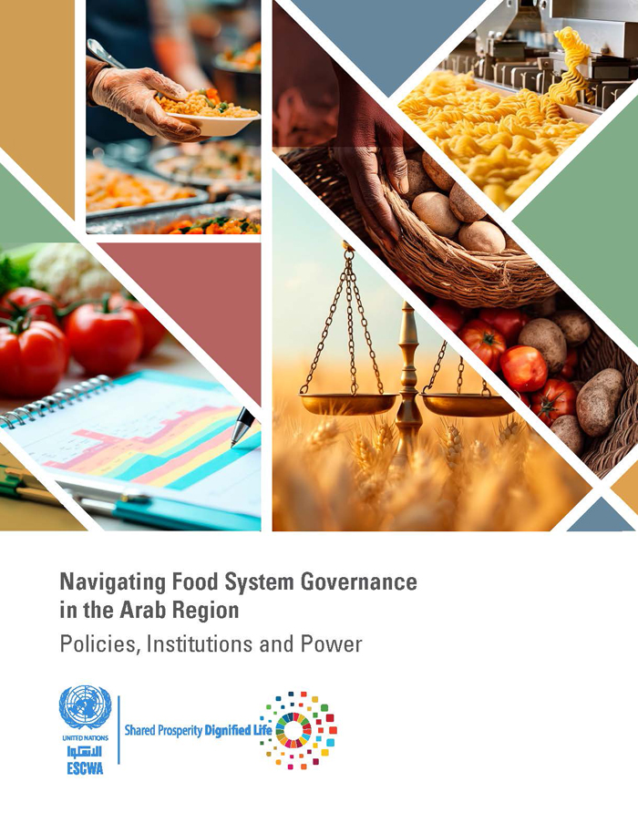 Navigating Food System Governance in the Arab Region: Policies, Institutions and Power