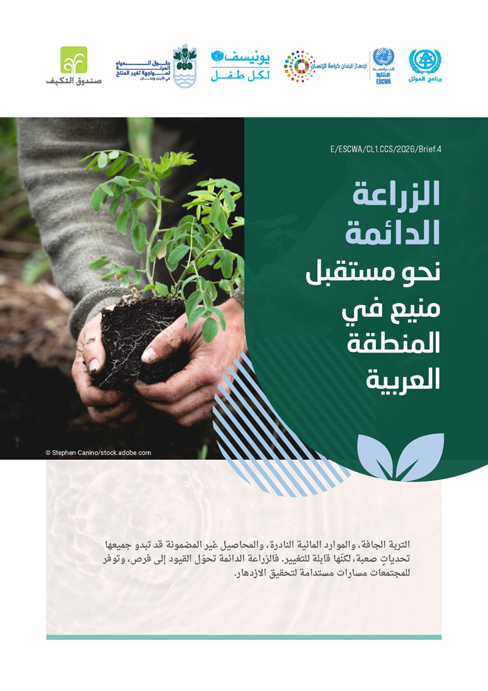 الزراعة الدائمة: نحو مستقبل منيع في المنطقة العربية