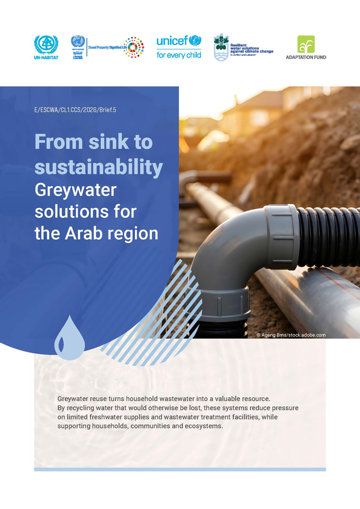 From sink to sustainability: greywater solutions for the Arab region