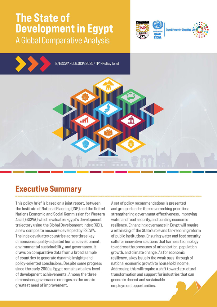 The State of Development in Egypt: A Global Comparative Analysis Policy Brief
