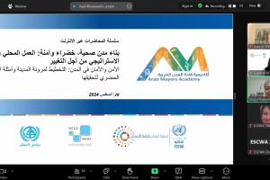 ندوة عبر الإنترنت 3: بناء مدن صحية وخضراء وآمنة: العمل المحلي والتخطيط الاستراتيجي للتغيير