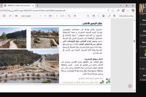 ندوة عبر الإنترنت 2: الحلول القائمة على الطبيعة للمدن: من المفهوم إلى الواقع في المنطقة العربية 