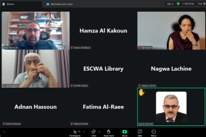 ندوة عبر الإنترنت 6: تفعيل المرونة الحضرية: مقاربات متعددة القطاعات للحد من مخاطر الكوارث 