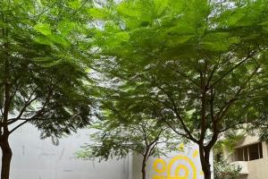 حين يلتقي الابتكار بالطبيعة