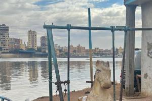جائزة المرتبة الثالثة: أرجوحة الأمل المعلّقة