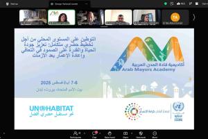 ندوة عبر الإنترنت 4: تمويل الإدارة المحلية: نحو حلول عملية 
