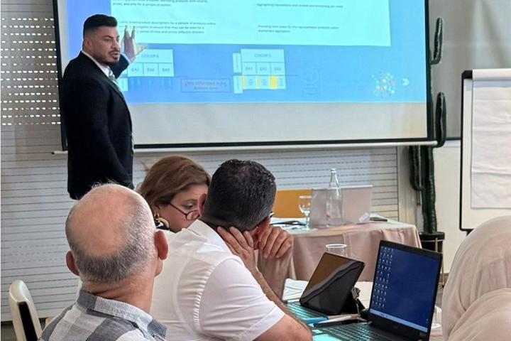 Innovation in price statistics collection tools in Tunisia