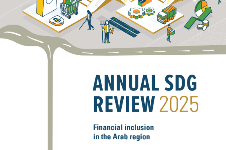 Annual SDG Review 2025: Financial Inclusion in the Arab Region